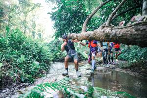 BIB: 
                            <button type="button" onclick="openModal(25442946)" class="btn btn-primary btn-sm float-right btn-popup" data-toggle="modal" data-target=".modal-high-quality">
                        <i class="fas fa-shopping-cart"></i> Add to Cart
                    </button>
                                            <button type="button" onclick="isThisMe(25442946, true)" class="btn btn-success btn-sm float-right btn-popup btn-isme hidden" data-toggle="tooltip" data-placement="bottom" title="นี่คือรูปของคุณใช่ไหม คลิกที่นี่เพื่อเอาเข้าอัลบั้ม">
                        <i class="fas fa-plus"></i> Add to album
                    </button>
                    <button type="button" onclick="isThisMe(25442946, false)" class="btn btn-warning btn-sm float-right btn-popup btn-isnotme hidden">
                        <i class="fas fa-ban"></i> Remove from album
                    </button>